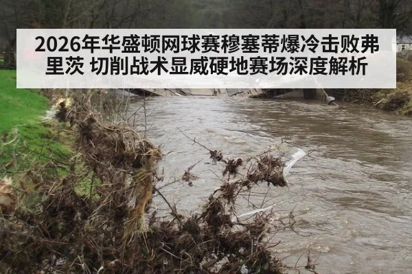 2026年华盛顿网球赛穆塞蒂爆冷击败弗里茨 切削战术显威硬地赛场深度解析