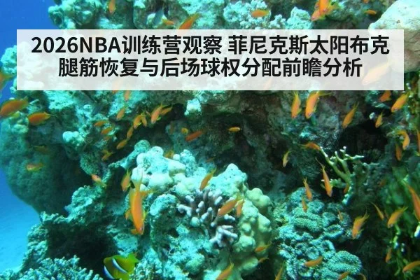 2026NBA训练营观察 菲尼克斯太阳布克腿筋恢复与后场球权分配前瞻分析